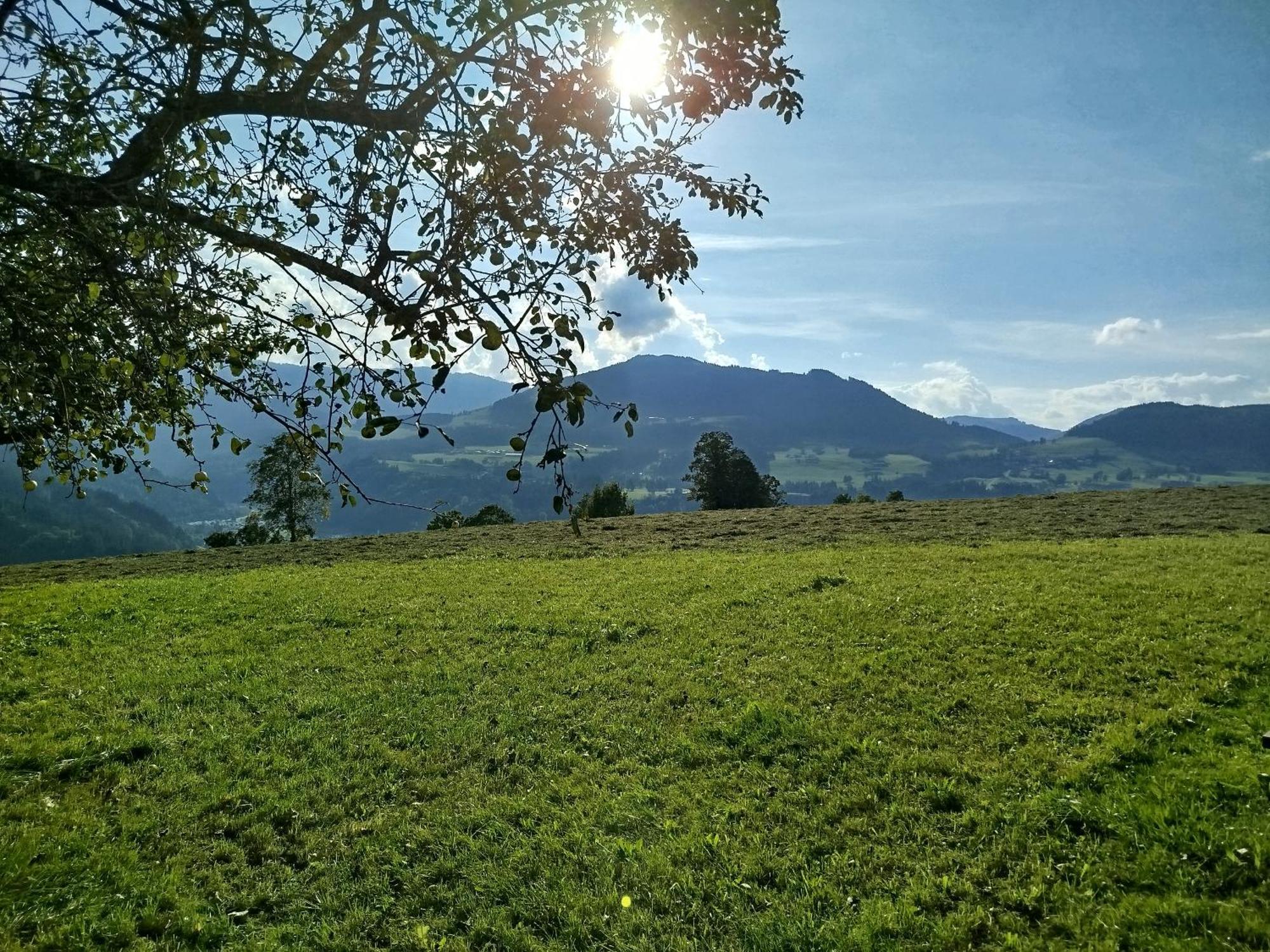 Biobauernhof Schuster Apartment Hopfgarten im Brixental Luaran gambar